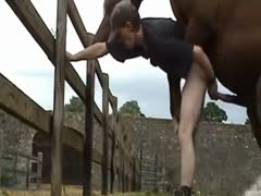 In a unique home video, a man enjoys fucking a horse with his dick.